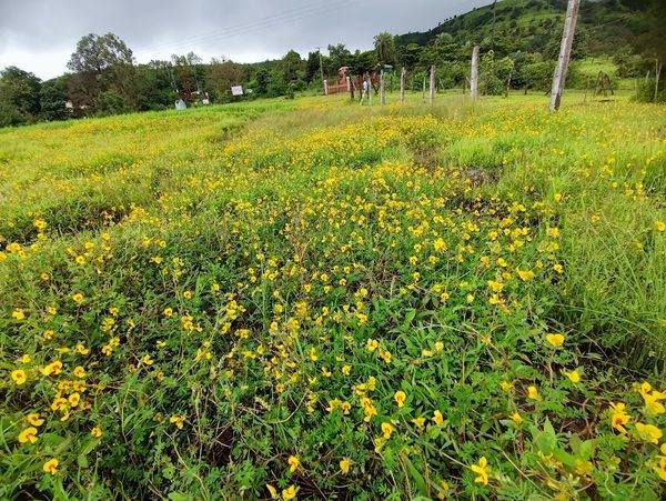 Moonwater Farms | Resorts